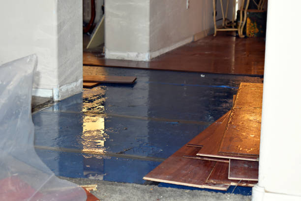 Professional Basement Flooding technician working in Byfield, MA